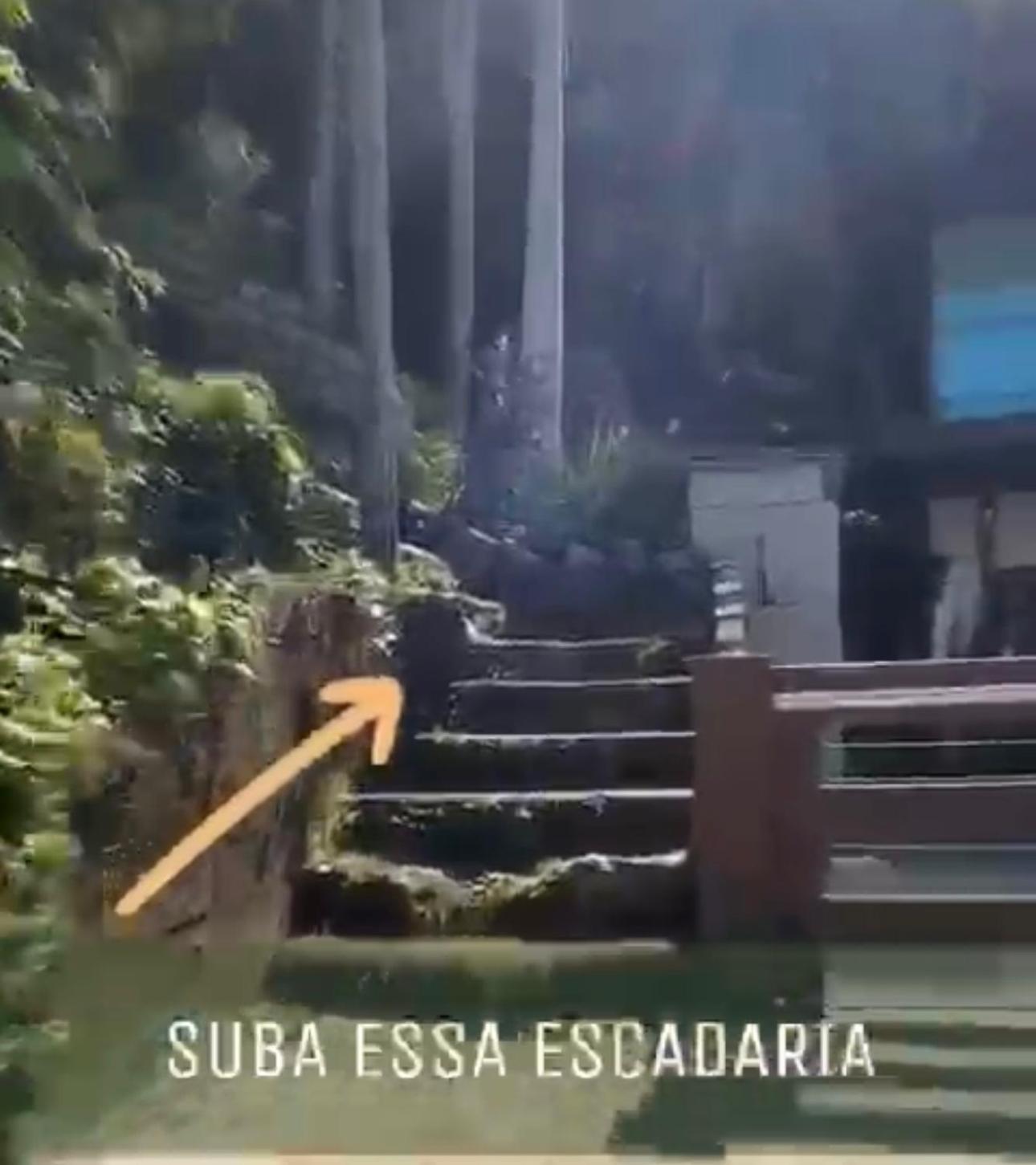 Vista Mar - Tiny House Sattva - Florianopolis, Sc Chalé